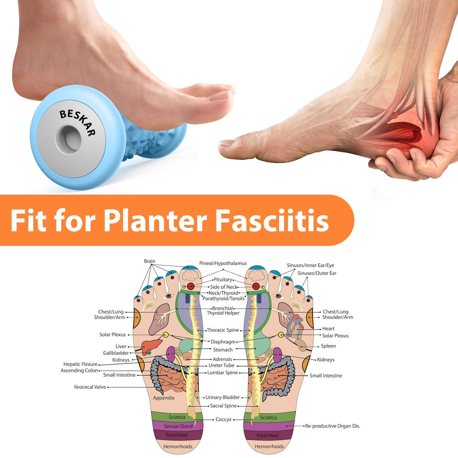 BESKAR Foot Massager Roller for Plantar Fasciitis Relief | Portable Foot Roller to Deep Tissue Muscle Massage, Foot Arch and Heel Pain, Foot Trigger Point Therapy, Reflexology Tool