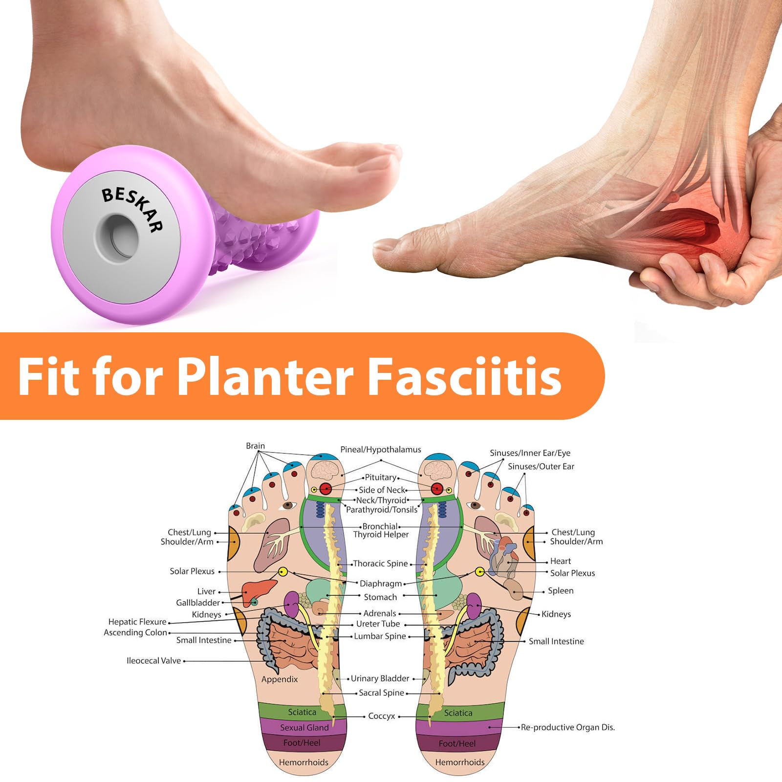 BESKAR Foot Massager Roller for Plantar Fasciitis Relief | Portable Foot Roller to Deep Tissue Muscle Massage, Foot Arch and Heel Pain, Foot Trigger Point Therapy, Reflexology Tool