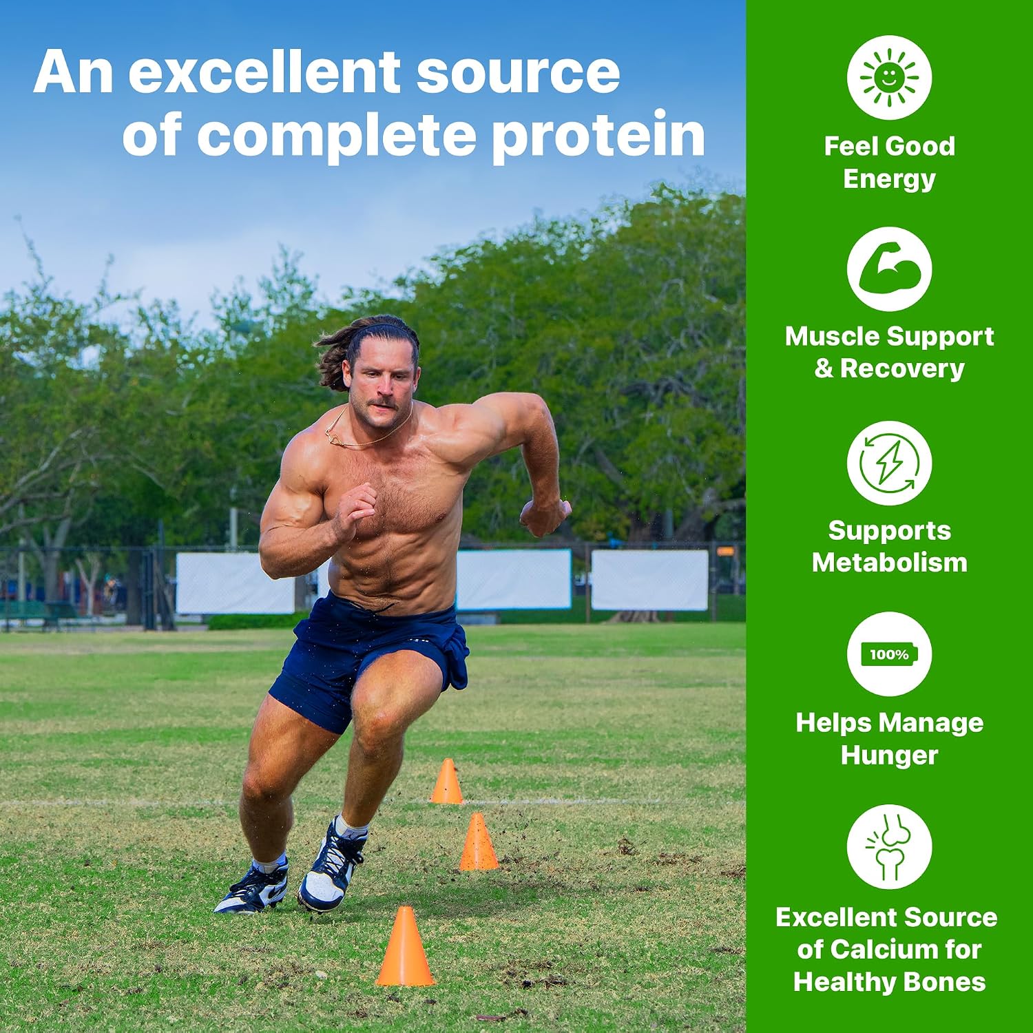 Orgain 30g High Protein Dairy Shake, 5g BCAAs, Chocolate, 11 oz, 12pk | Ready to drink dairy isolate milk protein, meal replacement, 1g sugar per serving, keto friendly, gluten free